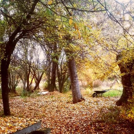 La Cabana De Gaia Сан-Лоренсо-де-Ель-Ескоріаль Екстер'єр фото